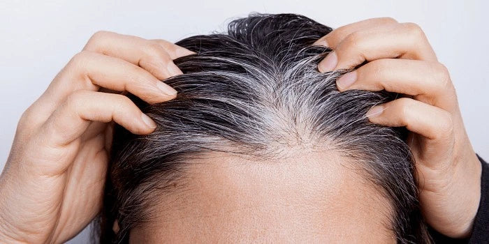 Henné cheveux blancs : quelle méthode de coloration végétale choisir 