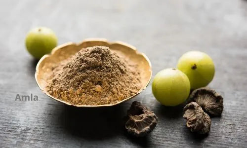 Amla : Le Superfruit Ayurvédique pour des Cheveux Plus Forts et Plus Longs