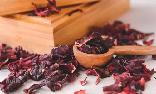 Hibiscus (Karkadé) : Bienfaits, Infusions et Utilisations Traditionnelles