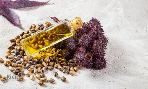 Huile de Ricin : Le Guide Ultime pour la Pousse des Cheveux