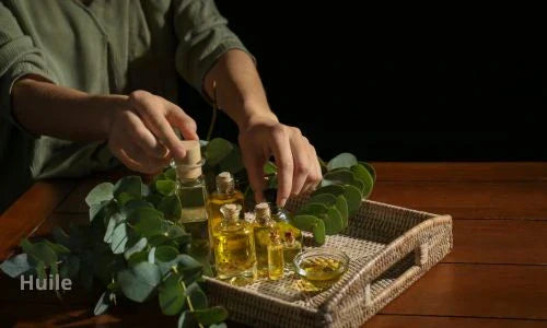 Huile Essentielle d'Eucalyptus : Bienfaits Respiratoires et Utilisations