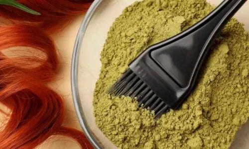 Sidr naturel pour renforcer les cheveux et purifier le cuir chevelu