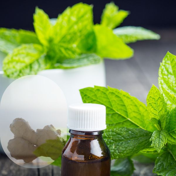Huile tonifiante au gingembre et menthe – énergie et vitalité naturelle