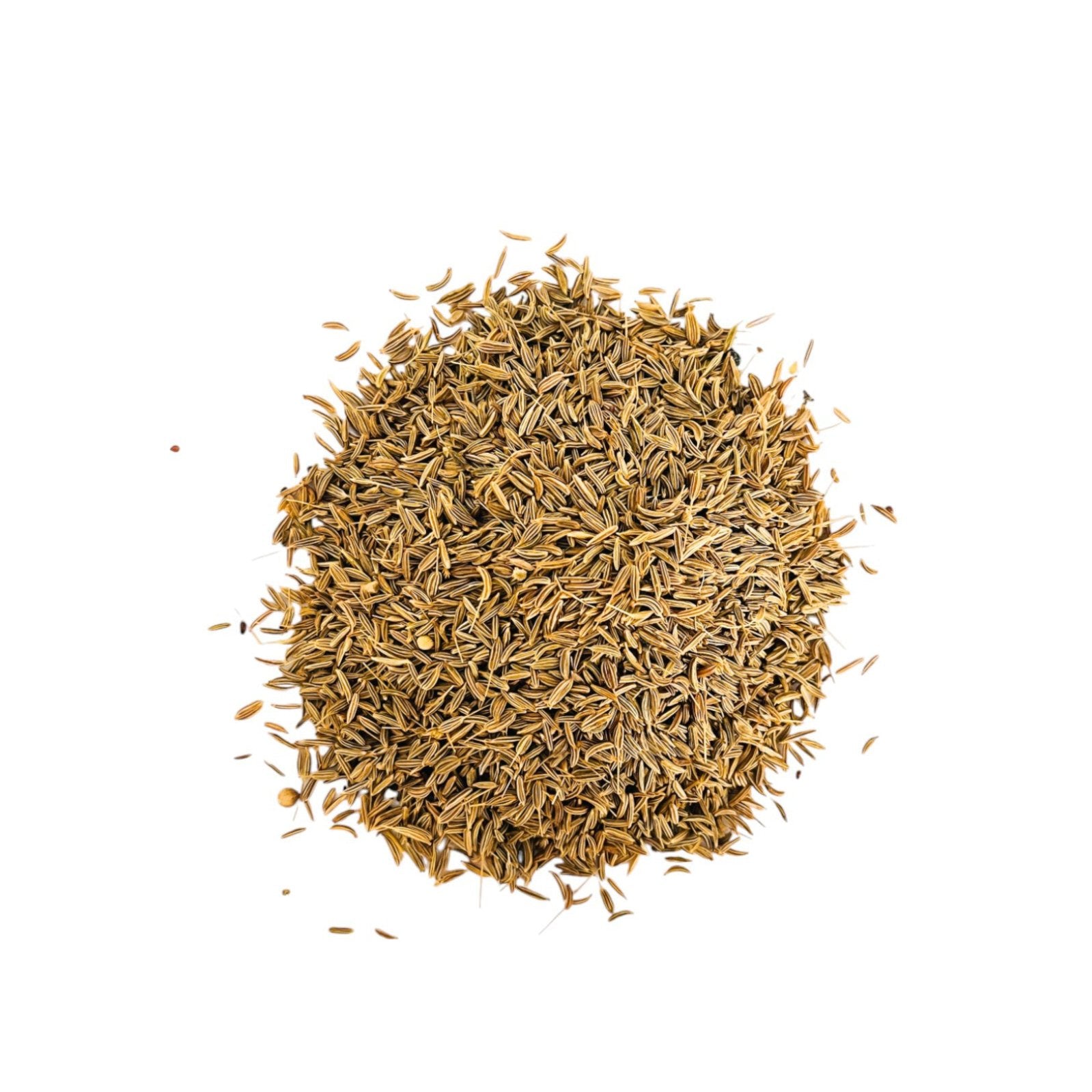 Graines de carvi entières aromatiques (الكروية) – Épice orientale naturelle