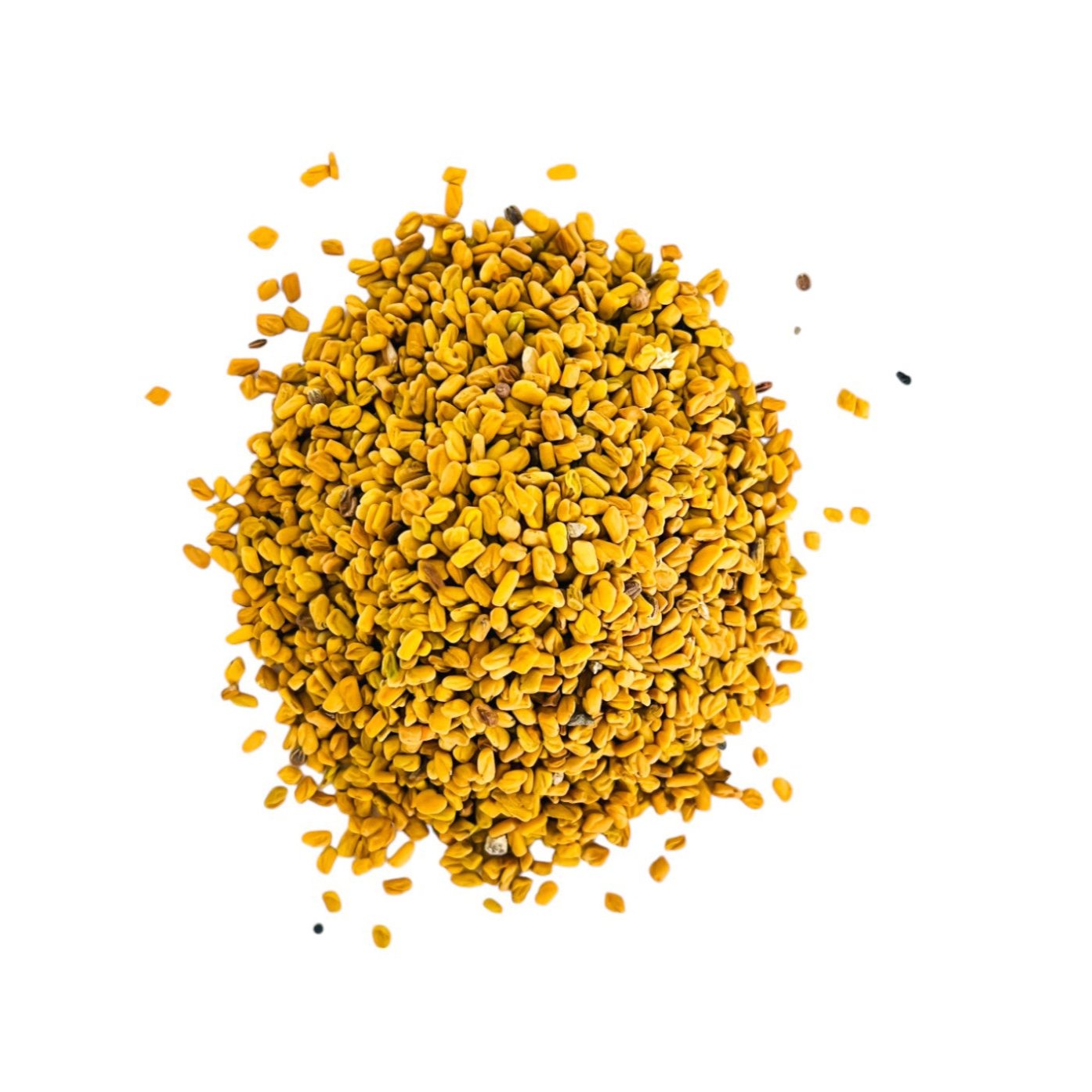 Graines de Fenugrec naturelles – الحلبة – Sachet 100g