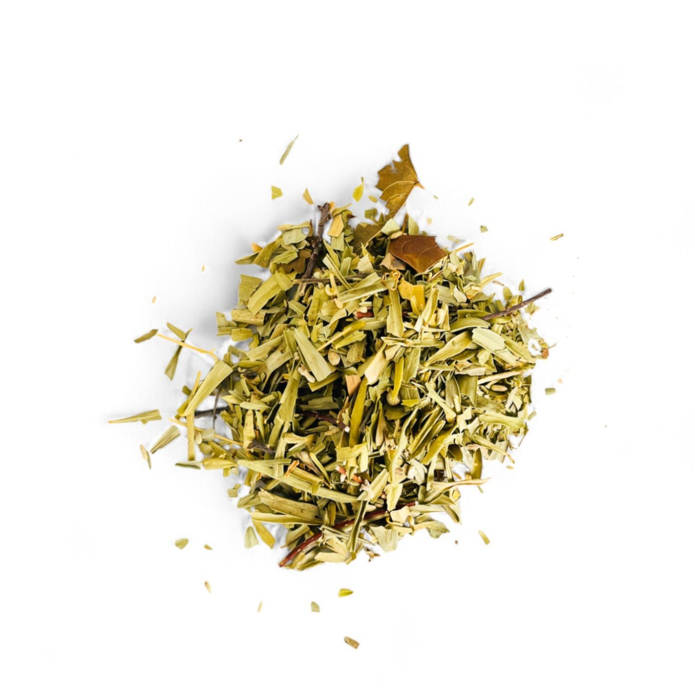 Feuilles d’Olivier séchées en vrac – Olea europaea – Plante naturelle du bassin méditerranéen