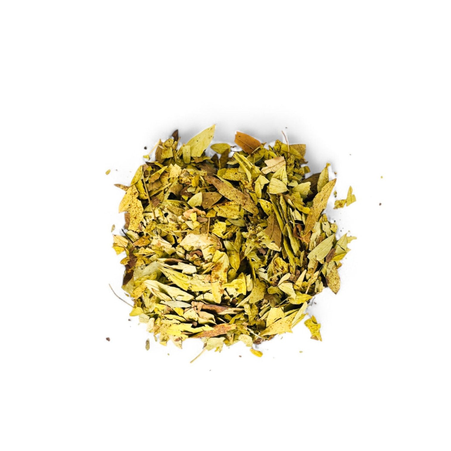 Feuilles de Séné (Senna alexandrina) séchées en vrac – sachet 50g, plante médicinale naturelle