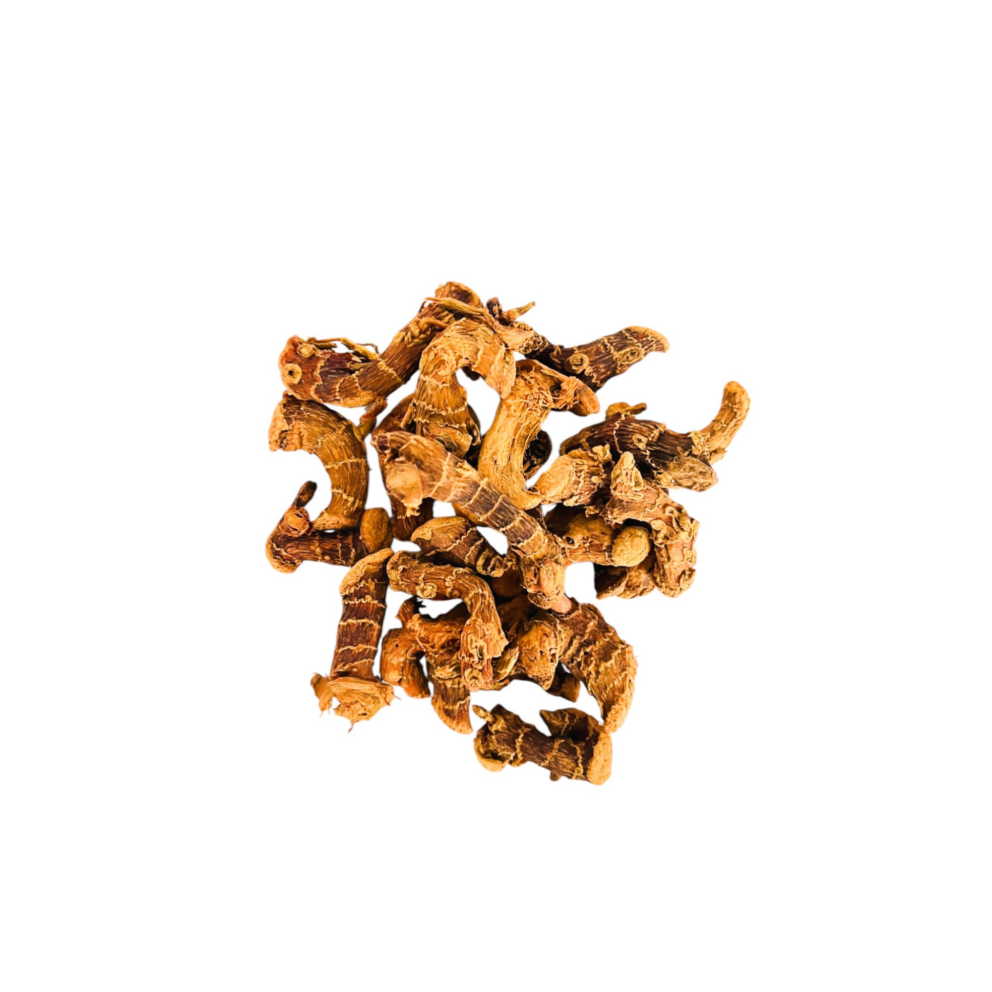 Galanga (خلجان) - Plante médicinale aux vertus digestives, anti-inflammatoires et apaisantes