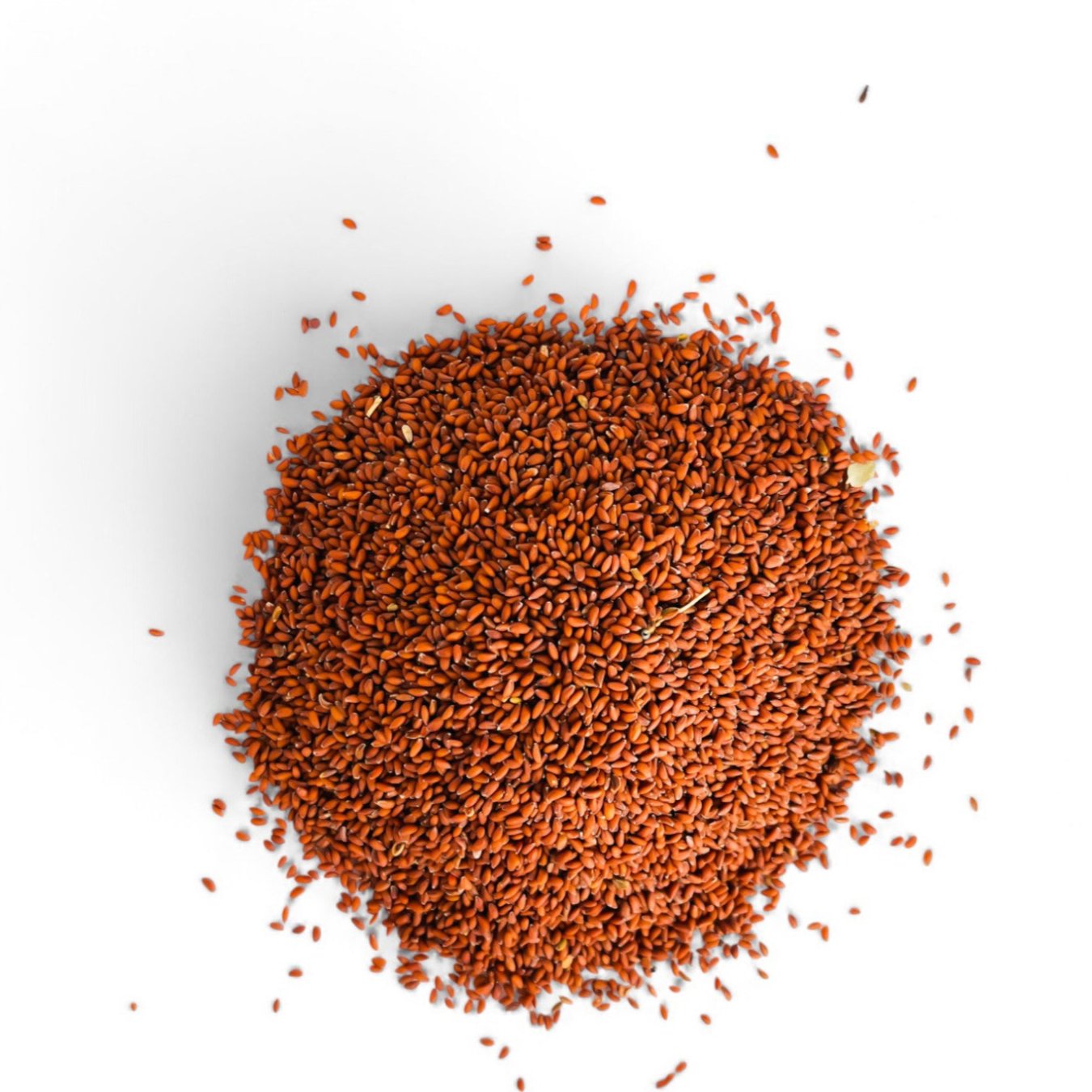 Graines de Cresson حب الرشاد en sachet de 100g – Produit naturel Mnatura