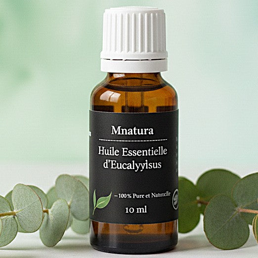 Huile Essentielle d’Eucalyptus – 100 % Pure et Naturelle | Respiratoire, Purifiante & Revitalisante