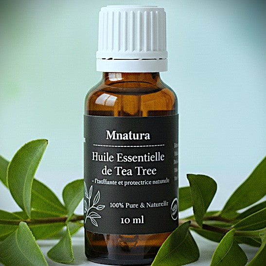 Huile essentielle de Tea Tree – Purifiante et protectrice naturelle