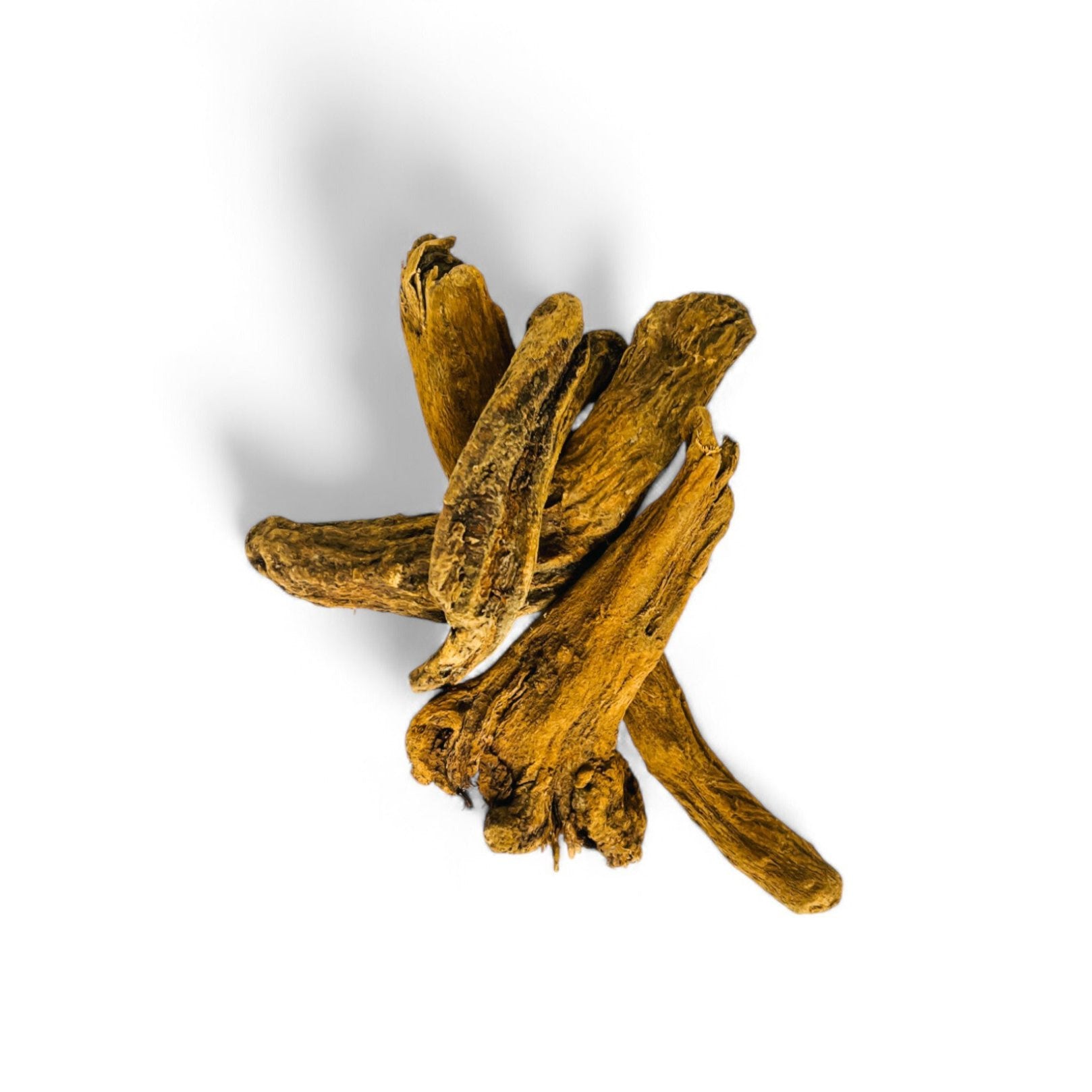 Indischer Costus (Stock) (القسط الهندي)