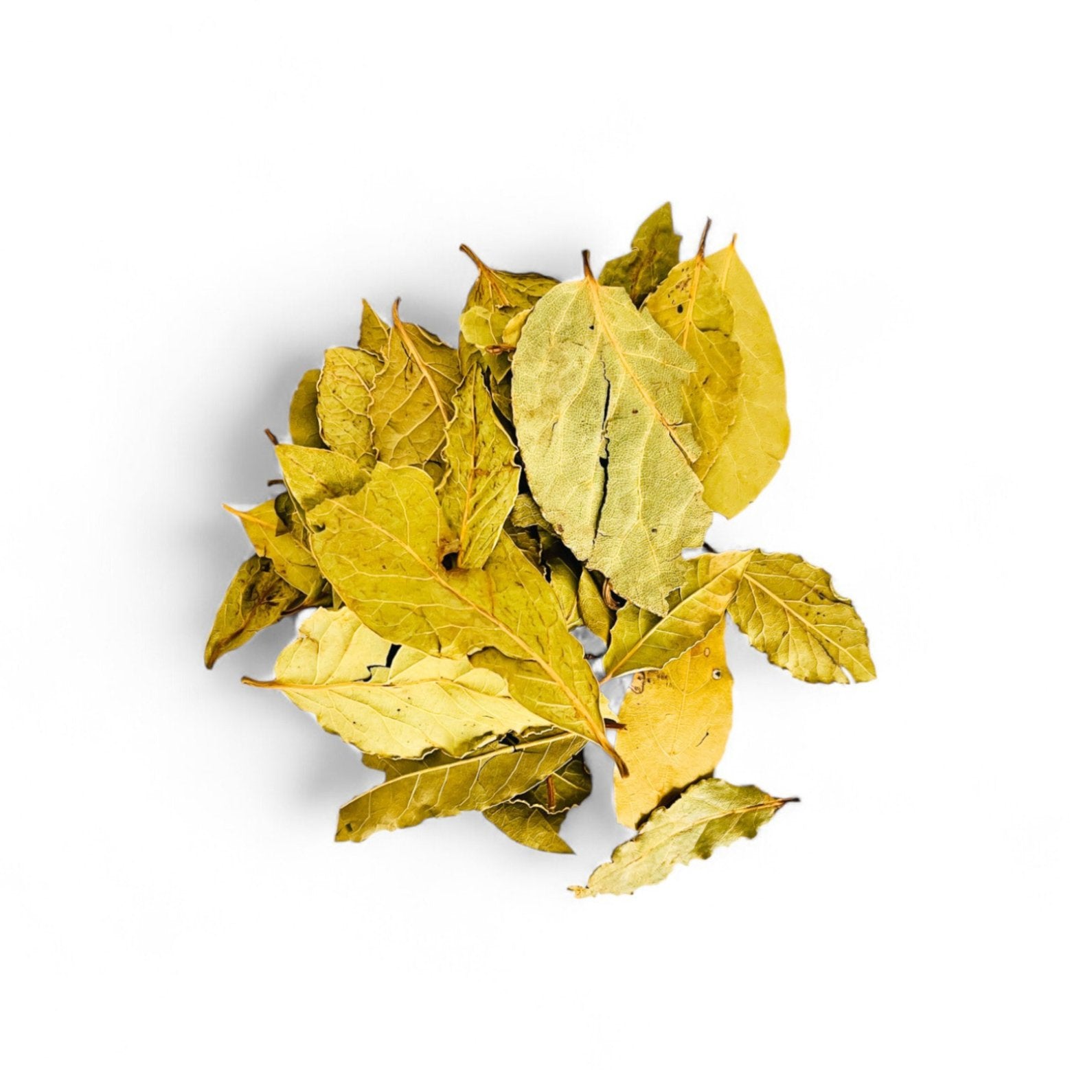 Feuilles de laurier séchées naturelles en vrac – ورق الغار