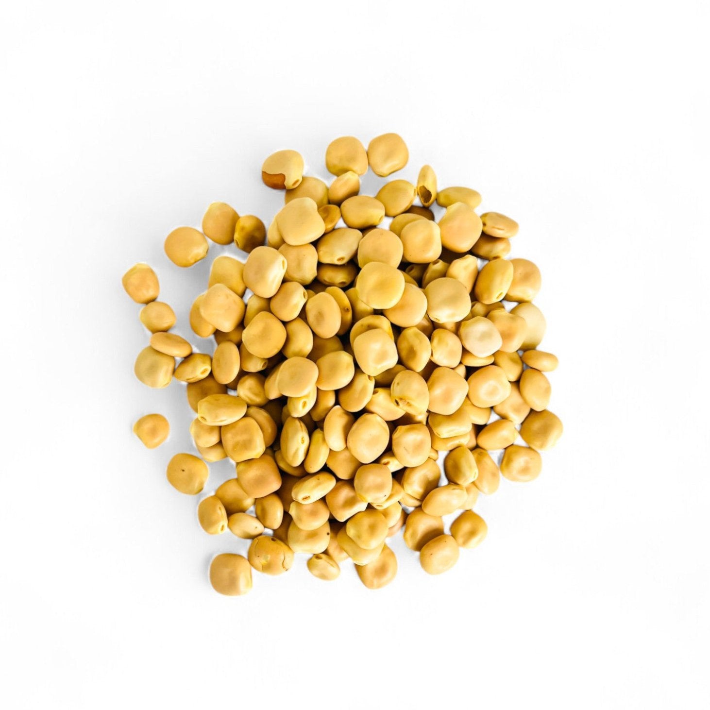 Lupin Naturel – Graines de Lupin Sec (الترمس) Riches en Protéines