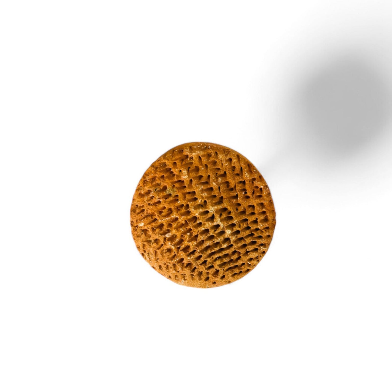 Pierre Ponce Naturelle pour les Pieds – Exfoliation Callosités | Soin Doux
