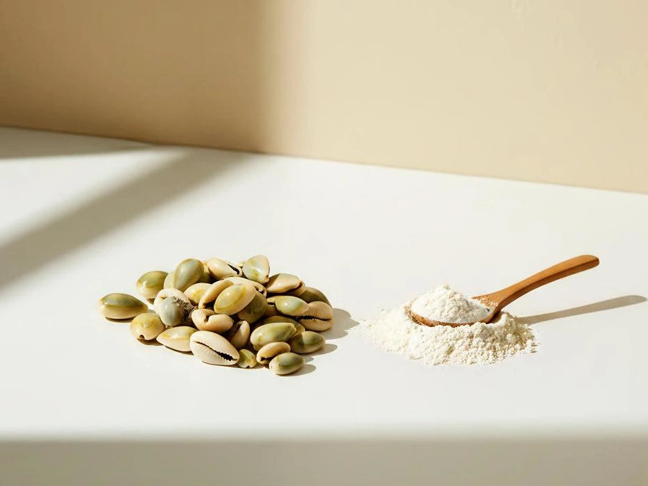 Wada – coquille marine naturelle pour soins du visage