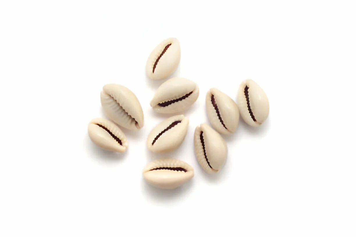 Wada – Poudre de coquille marine naturelle pour soins du visage