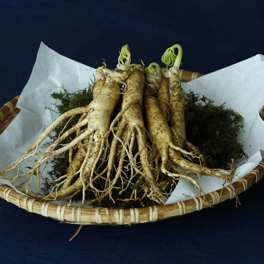 Ginseng en poudre naturel en sachet