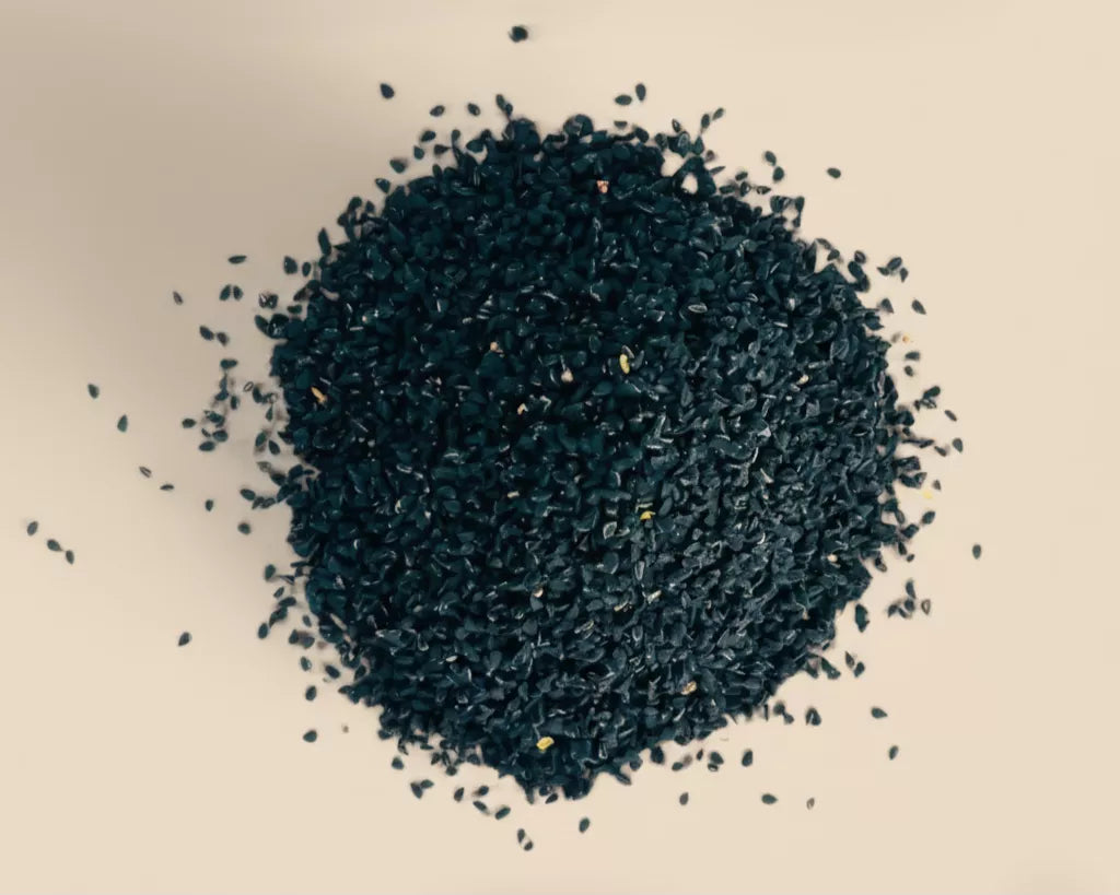 Nigelle en Graine Bio – Nigella sativa (حبّة البركة) – 100g