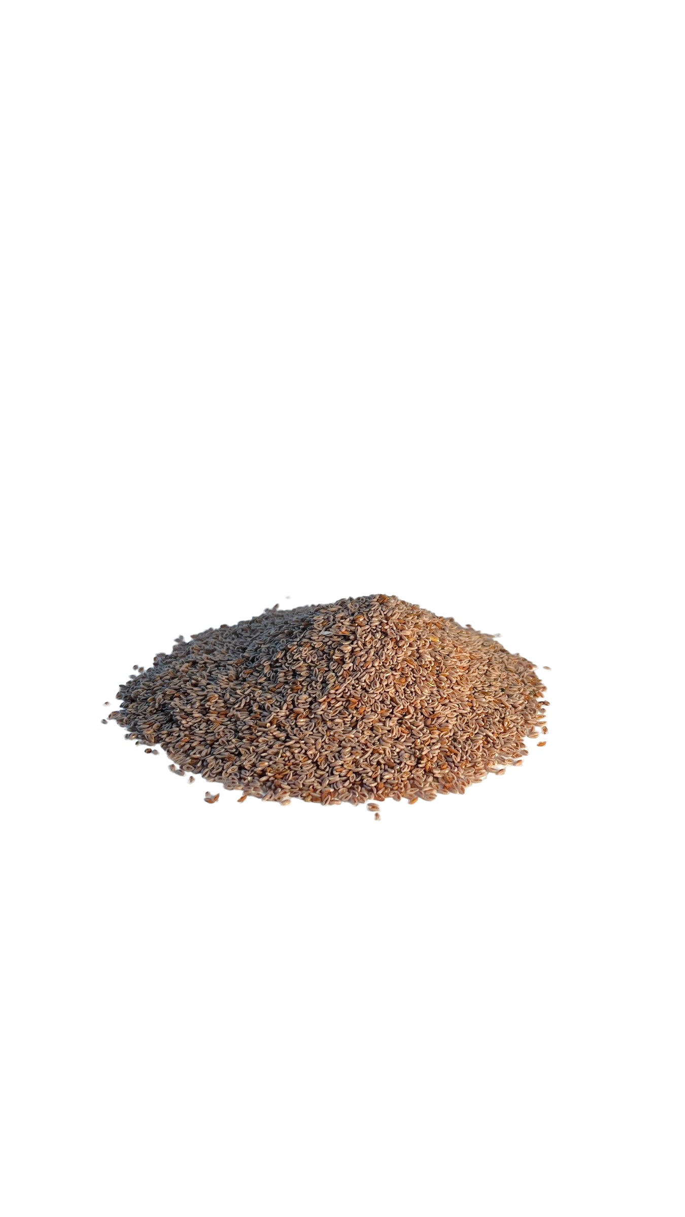 Sachet de graines de psyllium naturel 50g – fibres végétales pour digestion et transit intestinal