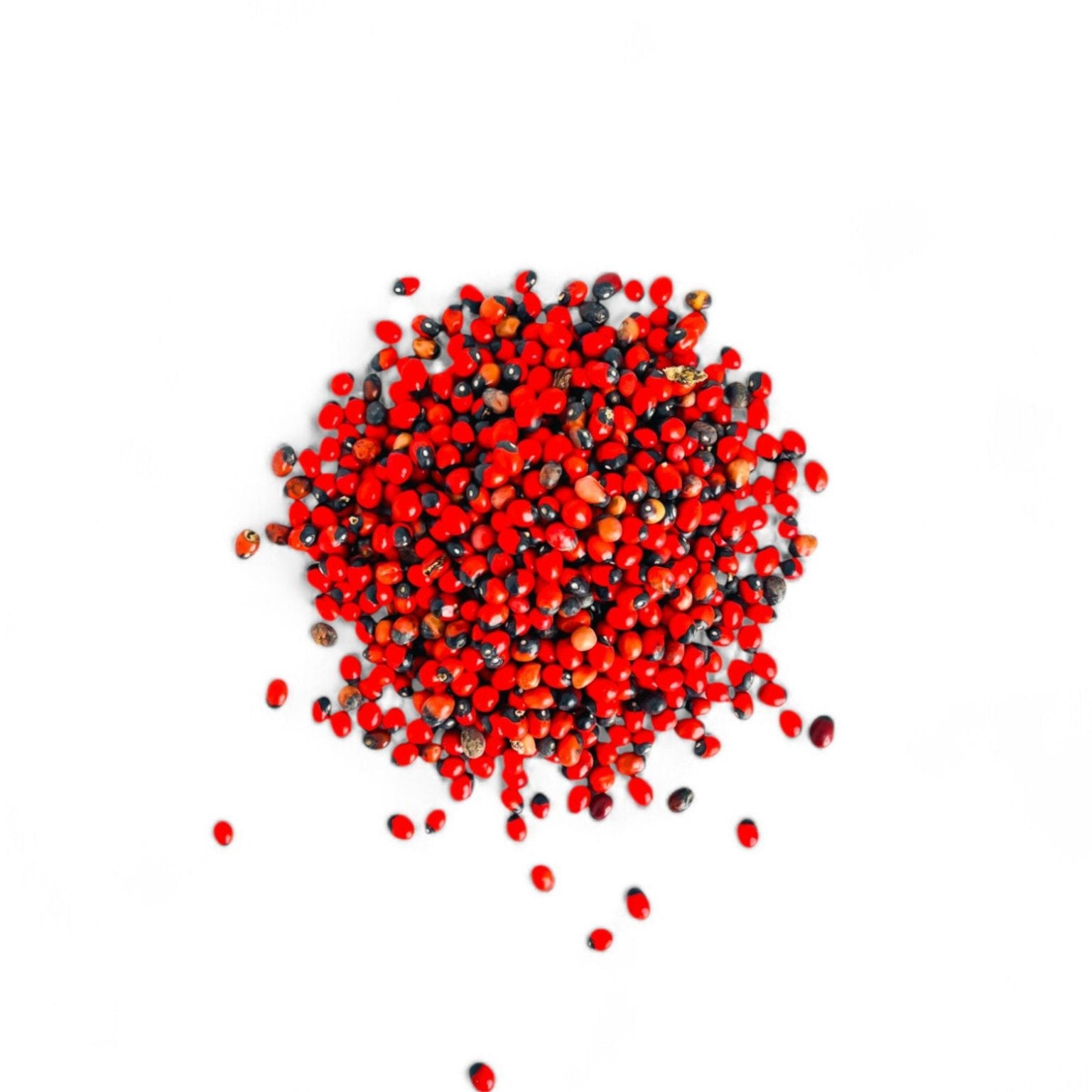 Graines Habat Acheq naturelles en sachet – encens de purification