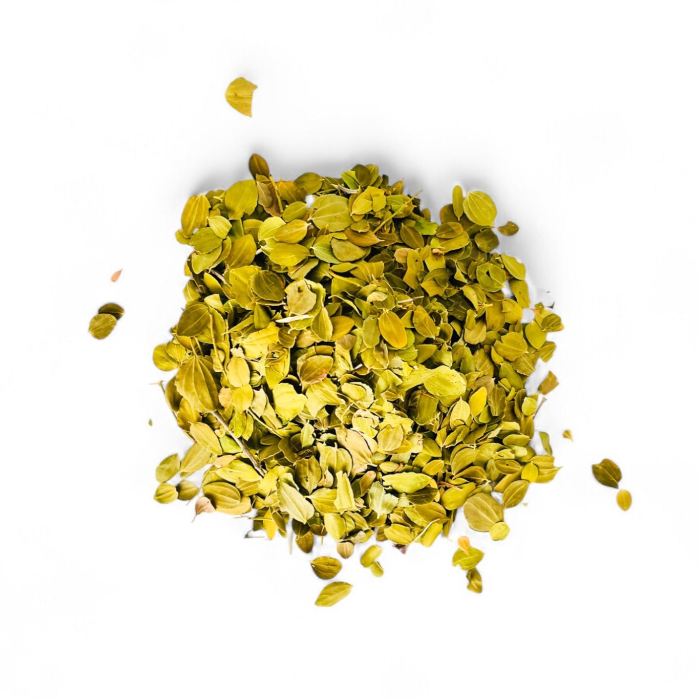 Poudre de jujubier Sidr naturelle en sachet 100g – soin cheveux purifiant