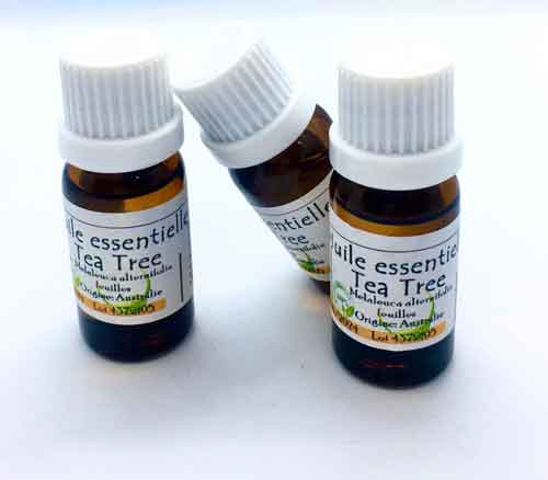 Huile Essentielle de Tea Tree – 100 % pure et naturelle