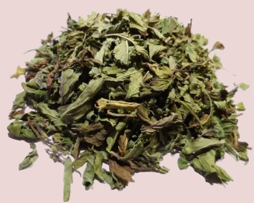 Menthe pouliot séchée 100 % naturelle – idéale en infusion pour son goût intense et rafraîchissant. Sachet de qualité.

